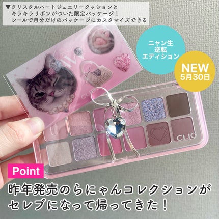 プロ アイ パレット エアー/CLIO/アイシャドウパレットを使ったクチコミ(3枚目)