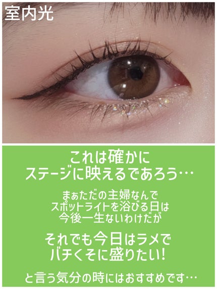 グリッター イルミネーションライナー R/CipiCipi/リキッドアイライナーを使ったクチコミ(7枚目)