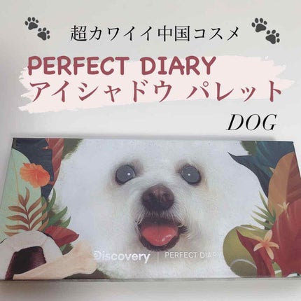 エクスプローラ12色 動物アイシャドウパレット/PERFECT DIARY/アイシャドウパレットを使ったクチコミ(1枚目)