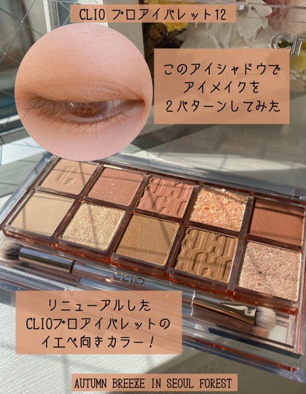プロ アイ パレット/CLIO/アイシャドウパレットを使ったクチコミ(1枚目)