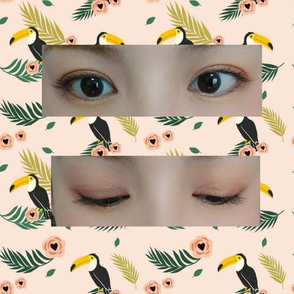 美容液ケアアイシャドウ/Borica/ジェル・クリームアイシャドウを使ったクチコミ(2枚目)