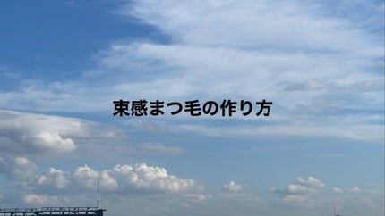 アイラッシュカーラー /SHISEIDO/ビューラーを使ったクチコミ(1枚目)