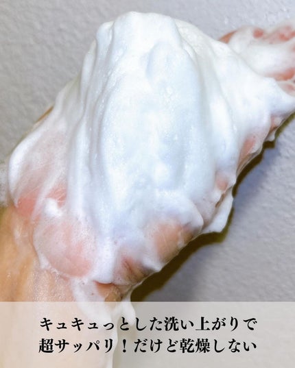 トレリアン フォーミングクレンザー/ラ ロッシュ ポゼ/洗顔フォームを使ったクチコミ(5枚目)