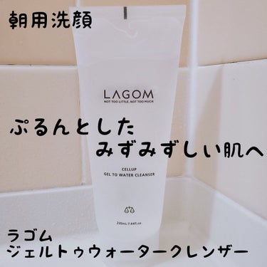 ラゴム ジェルトゥウォーター クレンザー(朝用洗顔)/LAGOM /洗顔フォームを使ったクチコミ（1枚目）