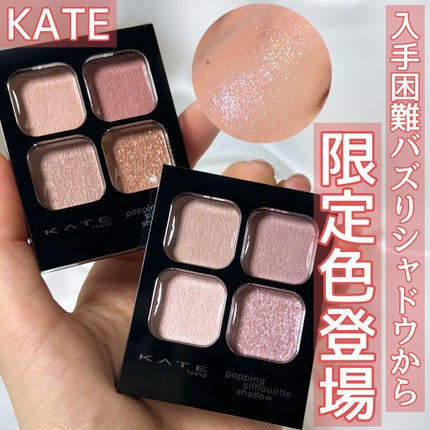 ケイト ポッピングシルエットシャドウ/KATE/アイシャドウパレットを使ったクチコミ(1枚目)