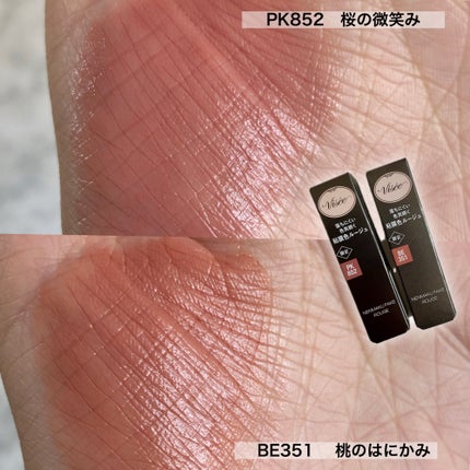 ネンマクフェイク ルージュ/Visée/口紅を使ったクチコミ(6枚目)