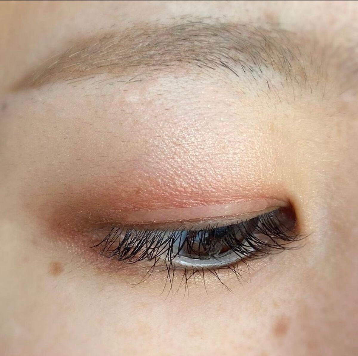 ミネラルクラッシィシャドー/エトヴォス/アイシャドウパレットを使ったクチコミ(3枚目)