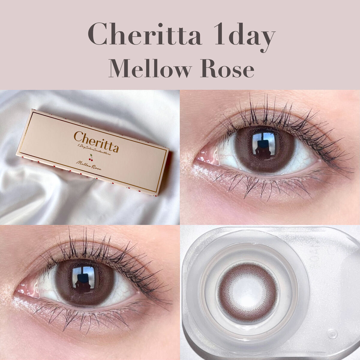 Cheritta 1day メロウロゼ(Mellow Rose)/Cheritta/ワンデー（１DAY）カラコンを使ったクチコミ（1枚目）