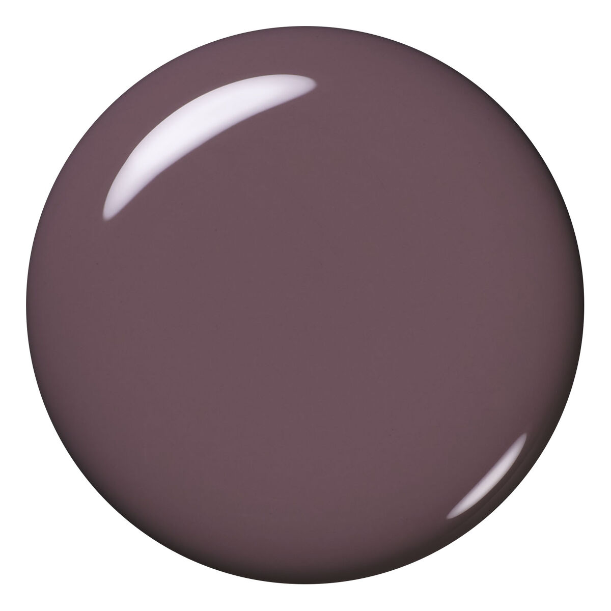 04 グレイッシュローズ