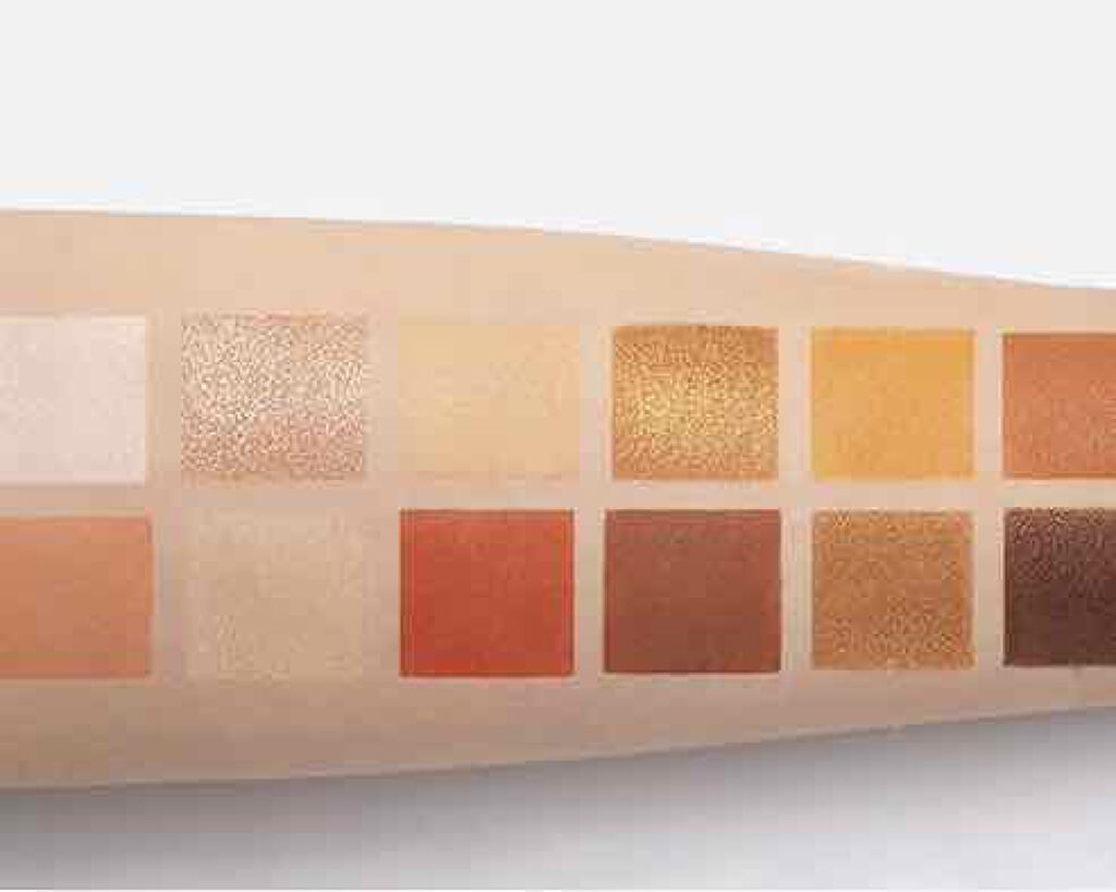 エクスプローラ12色 動物アイシャドウパレット/PERFECT DIARY/アイシャドウパレットを使ったクチコミ(2枚目)