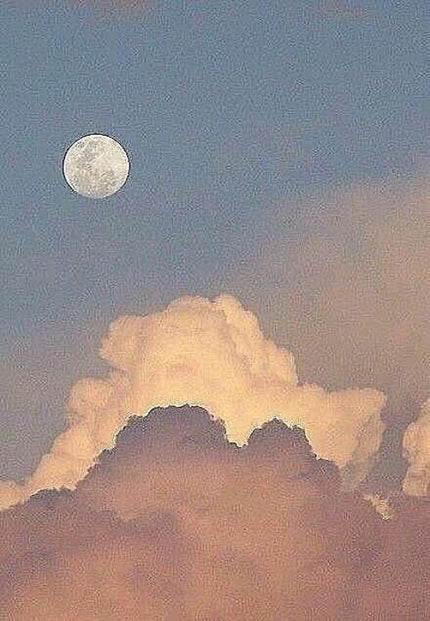 ノーセバム ミネラルパウダー/innisfree/ルースパウダーを使ったクチコミ(1枚目)