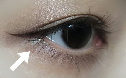 「塗るつけまつげ」自まつげ際立てタイプ/デジャヴュ/マスカラを使ったクチコミ(4枚目)