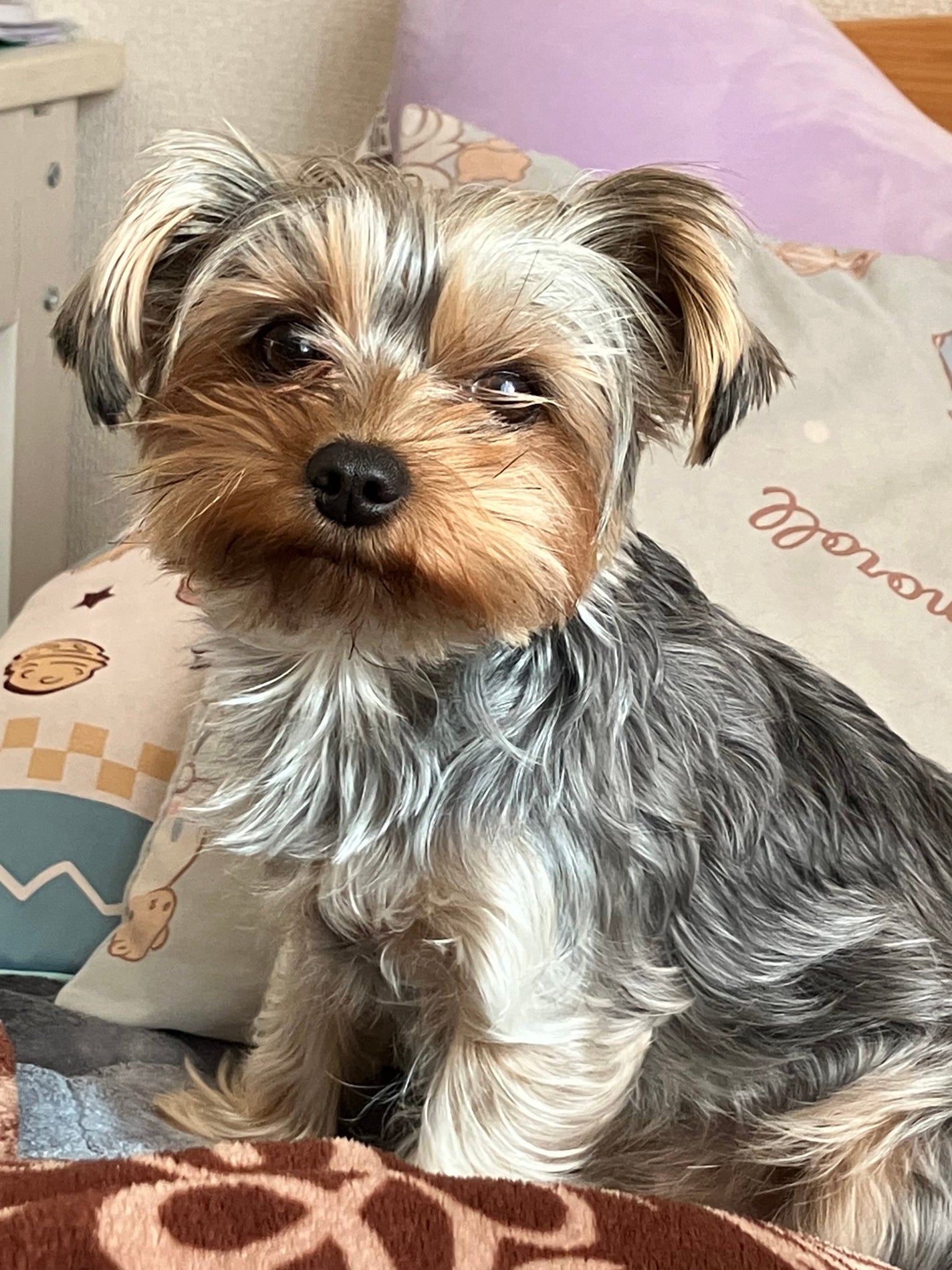 クリーミータッチライナー/キャンメイク/ジェルアイライナーを使ったクチコミ(1枚目)