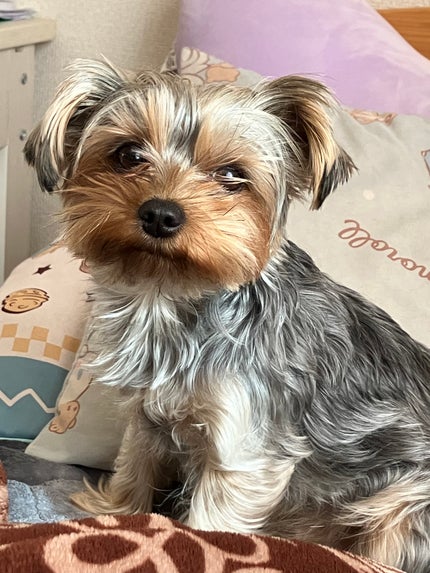 クリーミータッチライナー/キャンメイク/ジェルアイライナーを使ったクチコミ(1枚目)