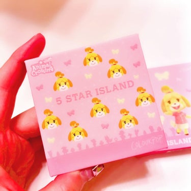 5 STAR ISLAND/ColourPop/アイシャドウパレットを使ったクチコミ（3枚目）