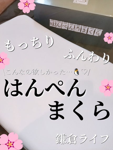 はんぺん枕/鎌倉ライフ/その他を使ったクチコミ(1枚目)