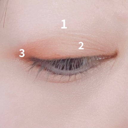 大英博物館 エジプトシリーズ アイシャドウパレット/ZEESEA/アイシャドウパレットを使ったクチコミ(4枚目)