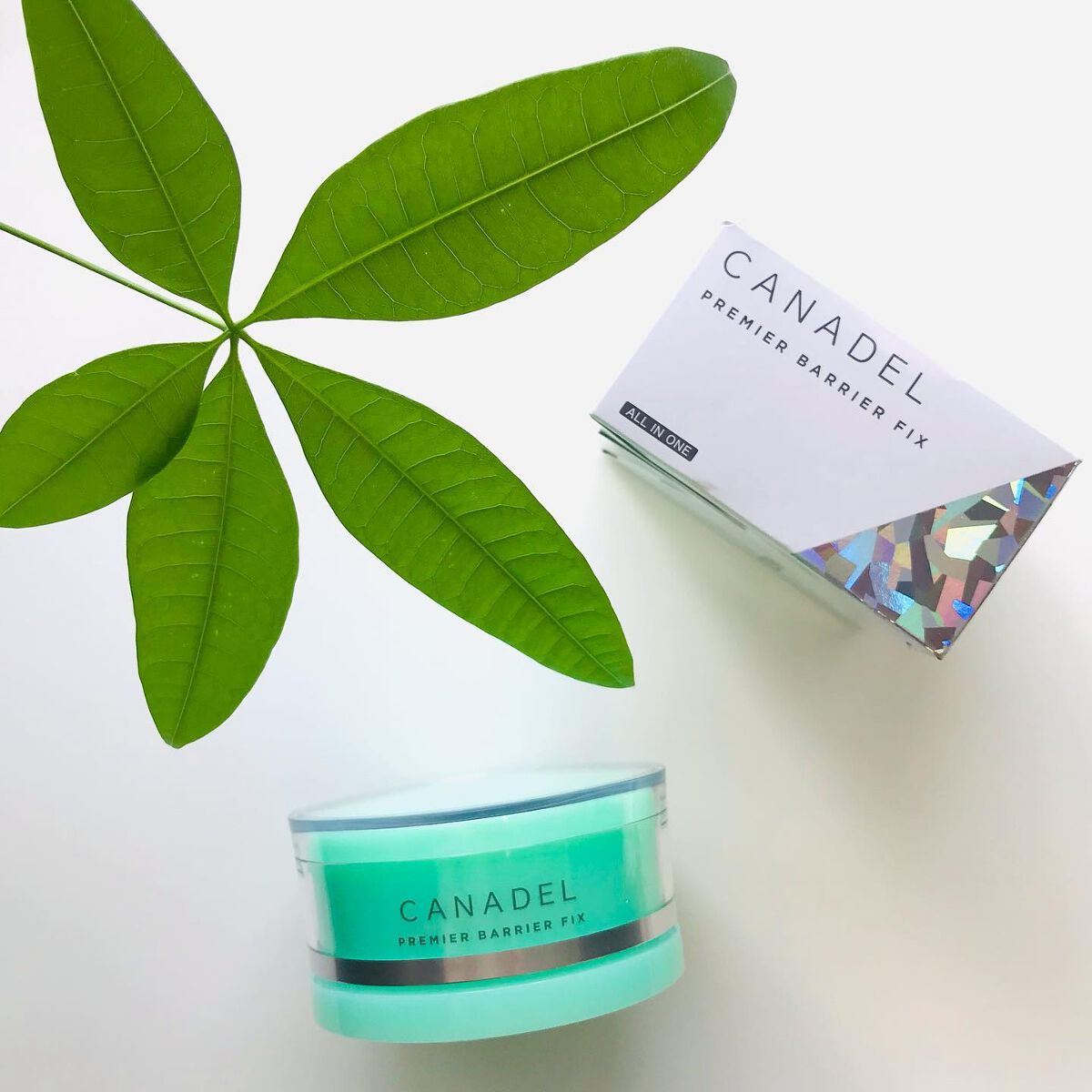 プレミアバリアフィックス /CANADEL/オールインワン化粧品を使ったクチコミ(5枚目)