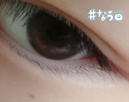 ラッシュジェリードロップ/MAJOLICA MAJORCA/まつげ美容液を使ったクチコミ(3枚目)