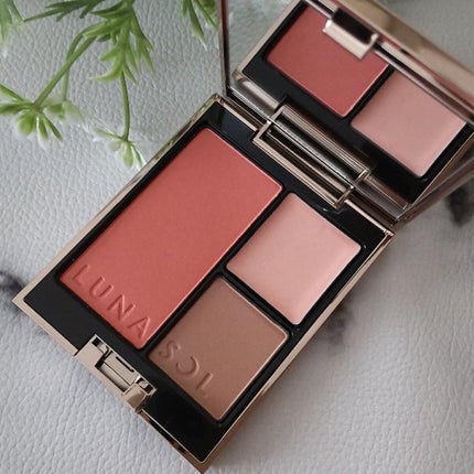 シークレットシェイプパレット/LUNASOL/パウダーチークを使ったクチコミ(4枚目)