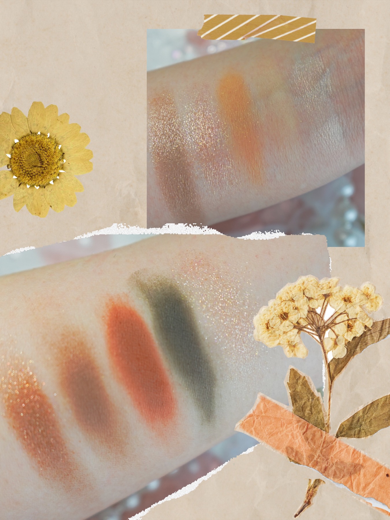 CLIO プロ アイ パレットのクチコミ「CLIOプロ アイ パレット
16NO STANDARD

もう気分は秋🍂

前から気になって.....」（2枚目）