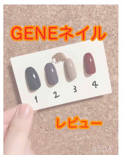 gene TOKYO ネイル/DAISO/マニキュアを使ったクチコミ(1枚目)