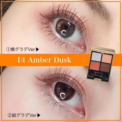 アイカラーレーション 14 Amber Dusk/LUNASOL/アイシャドウパレットを使ったクチコミ(2枚目)