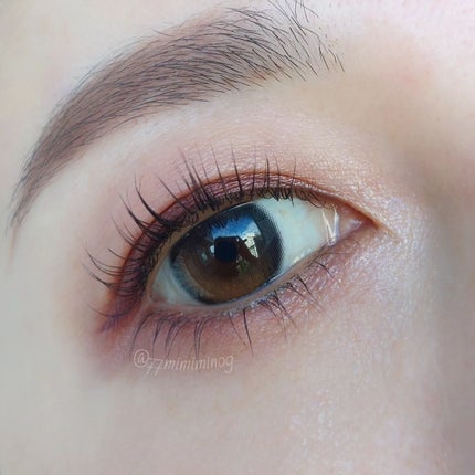 シグニチャー カラー アイズ/SUQQU/アイシャドウパレットを使ったクチコミ(5枚目)