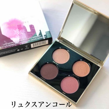 リュクス アンコール アイシャドウ パレット バーガンディー/BOBBI BROWN/パウダーアイシャドウを使ったクチコミ（1枚目）