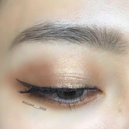 MOTHERSHIP PALETTES/PAT McGRATH LABS/アイシャドウパレットを使ったクチコミ(3枚目)