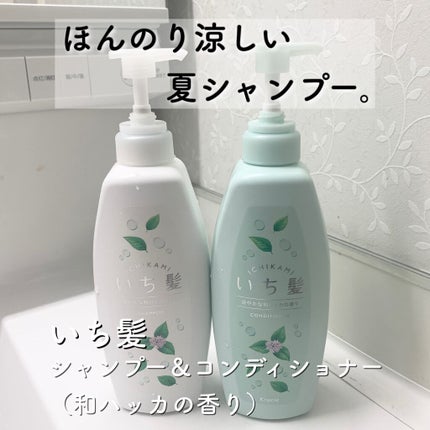 いち髪 シャンプー&コンディショナー(涼やかな和ハッカの香り)/いち髪/市販シャンプーを使ったクチコミ(1枚目)
