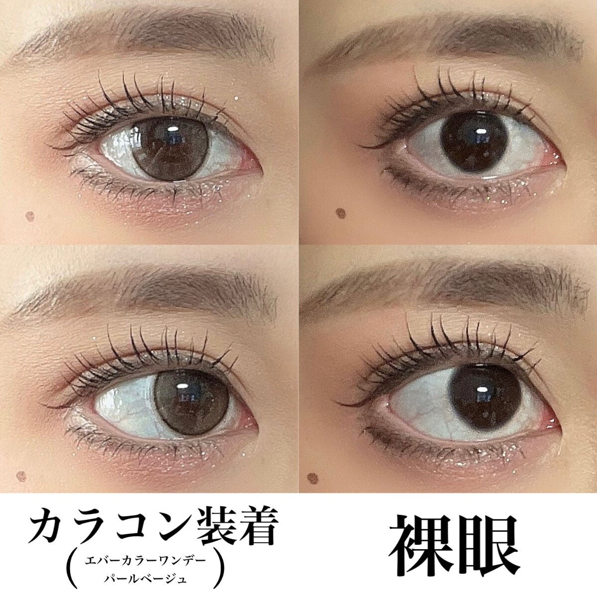 エバーカラーワンデー ナチュラル/エバーカラー/ワンデー(1DAY)カラコンを使ったクチコミ(2枚目)