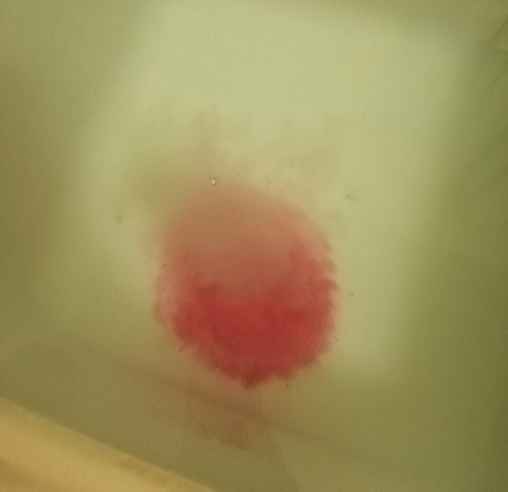 Ayur Time(アーユルタイム)/アーユルタイム/無機塩系入浴剤を使ったクチコミ(5枚目)