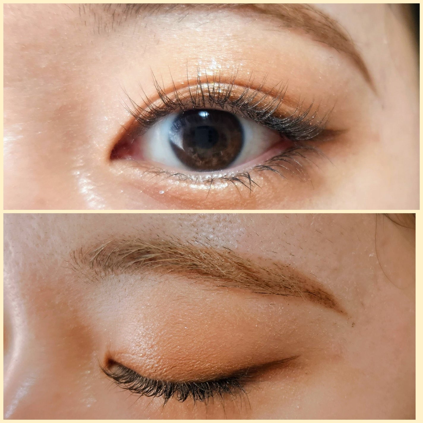 デイリズムアイパレット/heimish/アイシャドウパレットを使ったクチコミ(6枚目)