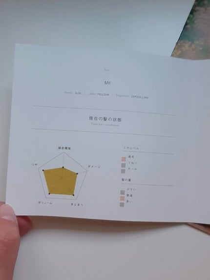 MEDULLA シャンプー/リペア/MEDULLA/シャンプー・コンディショナーを使ったクチコミ(5枚目)