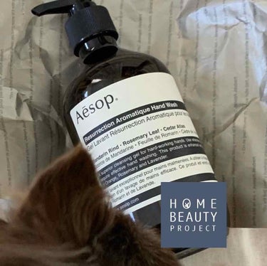 【一家にひとつ！？Aesop🌿のハンドウォッシュ🧼】


インスタ をみていると、お洒落なお部屋には必ずと言っていいほど、
【Aesopレスレクションハンドウォッシュ 】が置いてありますよね😍


とて