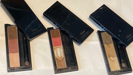 ヴィセ リシェ アイブロウパウダー/Visée/パウダーアイブロウを使ったクチコミ(1枚目)