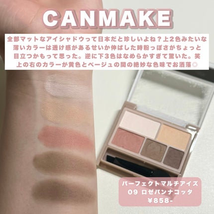 パーフェクトマルチアイズ/キャンメイク/アイシャドウパレットを使ったクチコミ(3枚目)