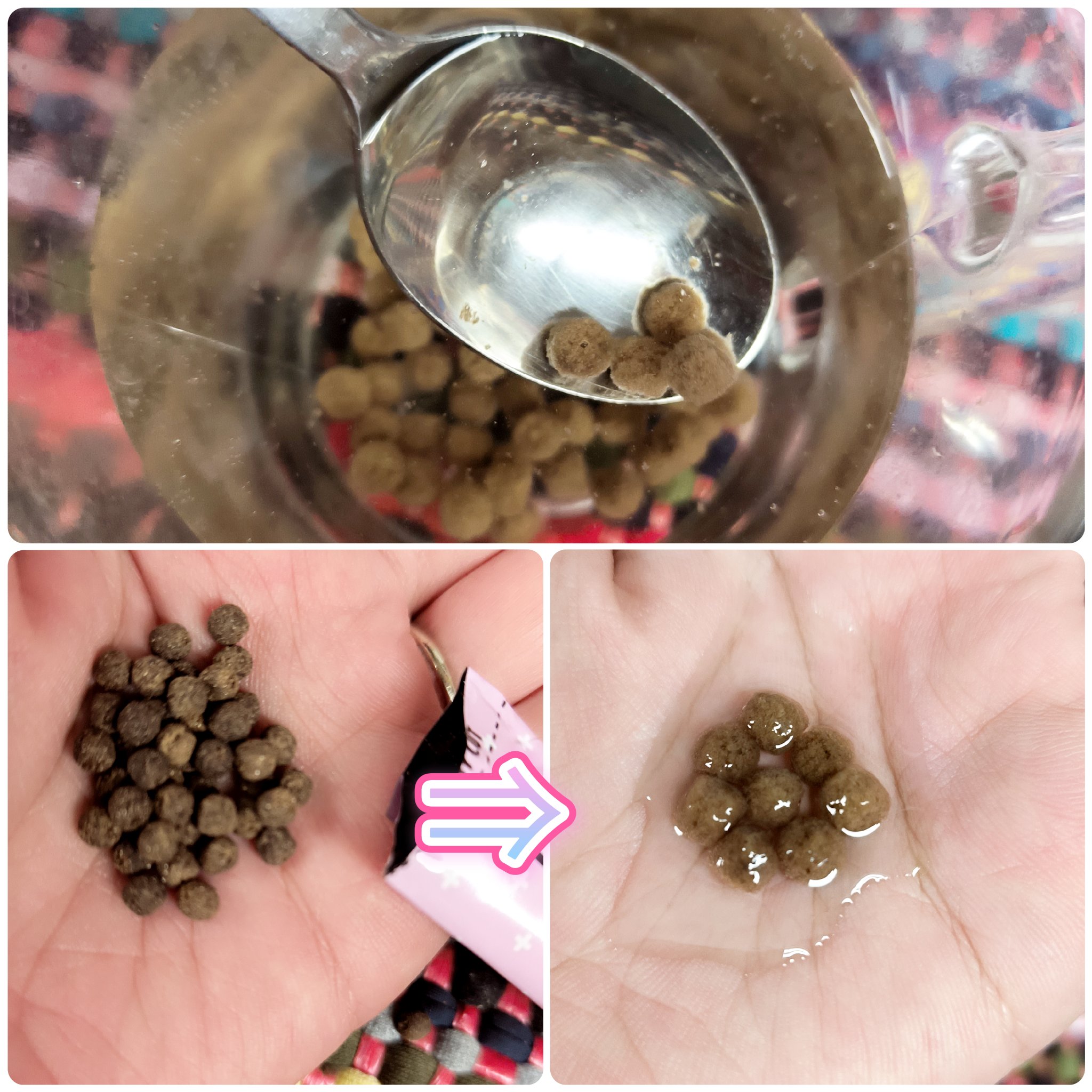 ニョロニョロ隊長+ ガルシニア+/In style Plus/健康サプリメントを使ったクチコミ（3枚目）