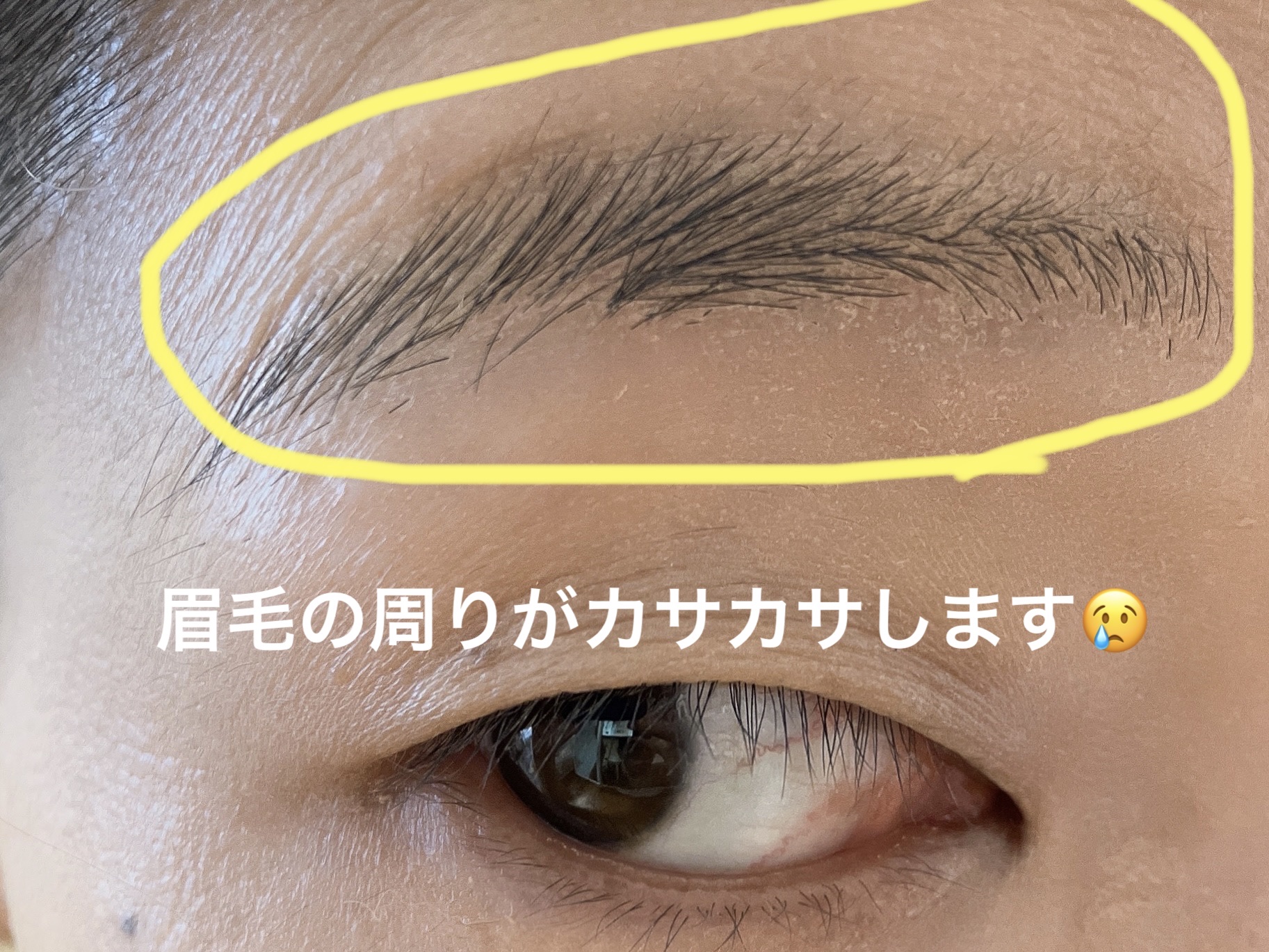 ノーセバム パウダー クッション/innisfree/クッションファンデーションを使ったクチコミ（3枚目）