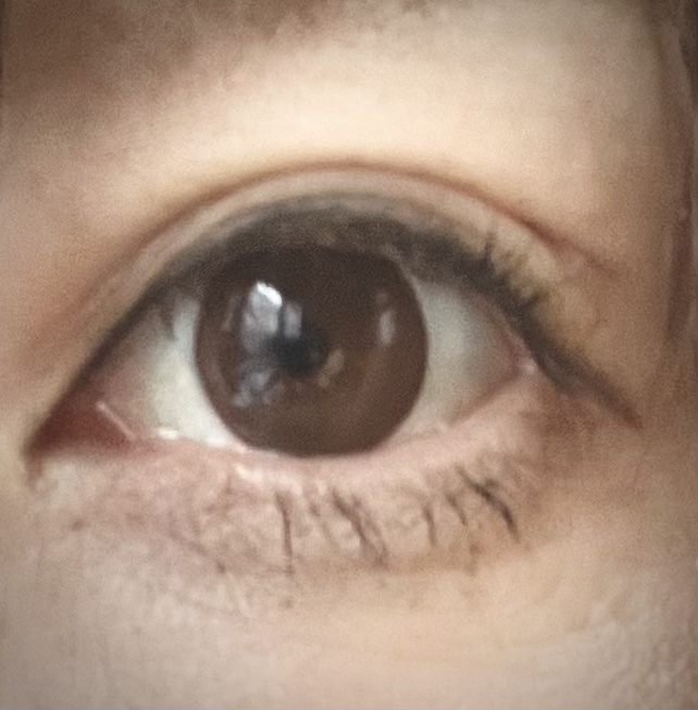 「塗るつけまつげ」自まつげ際立てタイプ/デジャヴュ/マスカラを使ったクチコミ（3枚目）