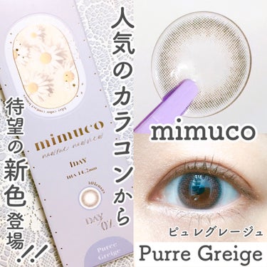 mimuco 1day ピュレグレージュ/mimuco/ワンデー（１DAY）カラコンを使ったクチコミ（1枚目）