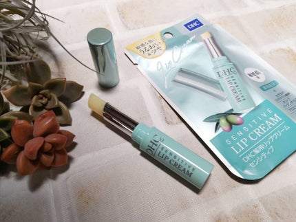 薬用リップクリームセンシティブ/DHC/リップクリームを使ったクチコミ(4枚目)