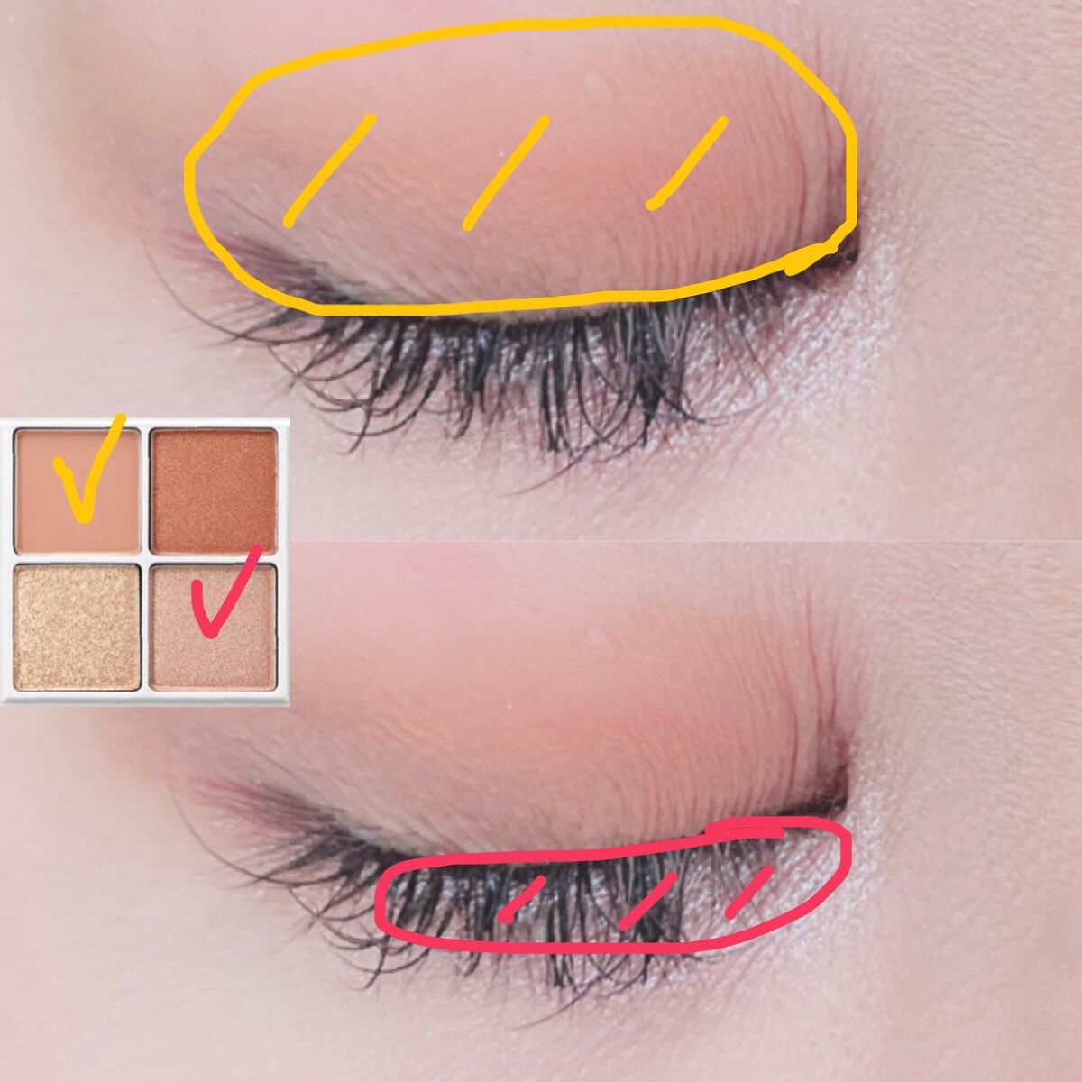 THE アイパレR/b idol/アイシャドウパレットを使ったクチコミ(2枚目)