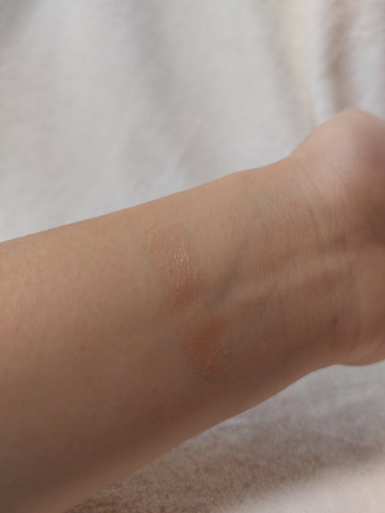 エクスプローラ12色 動物アイシャドウパレット/PERFECT DIARY/アイシャドウパレットを使ったクチコミ(5枚目)