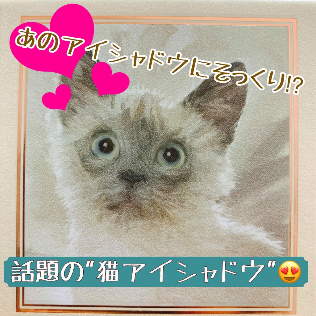 Venus Marble アイシャドウキャットシリーズ/Venus Marble/アイシャドウパレットを使ったクチコミ(1枚目)