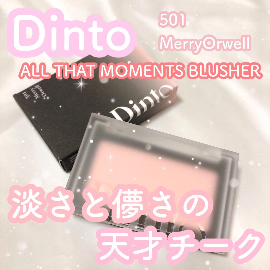 ブラーフィニシュブラッシャー/Dinto/パウダーチークを使ったクチコミ（1枚目）