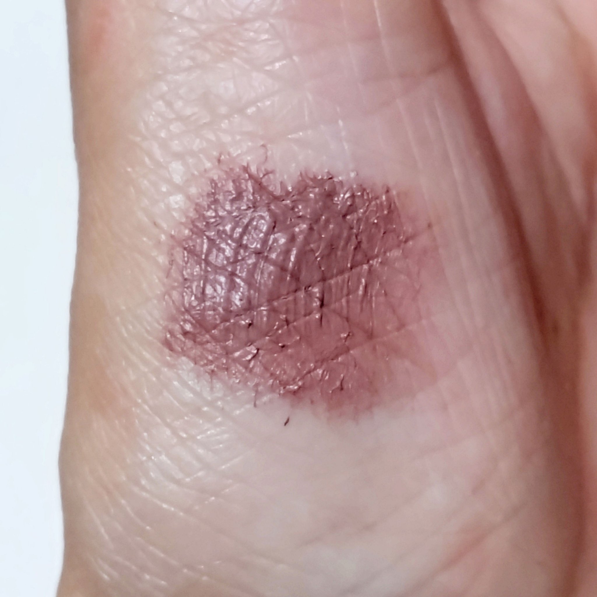 カラーマスカラ/sopo/マスカラを使ったクチコミ（3枚目）