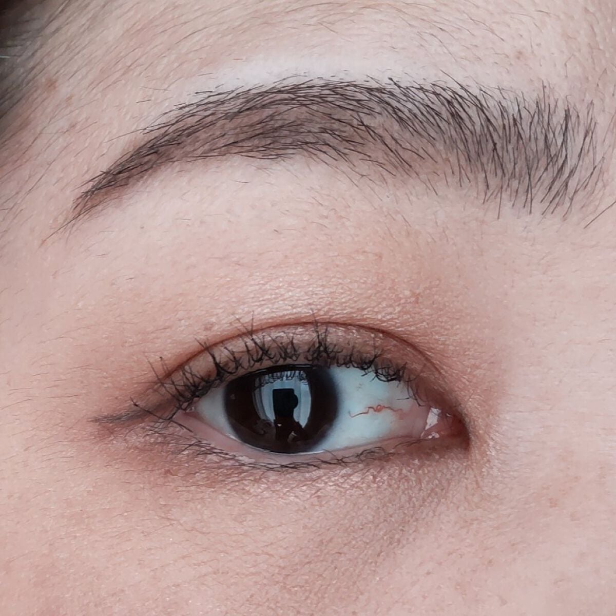 【旧】サンク クルール クチュール/Dior/アイシャドウパレットを使ったクチコミ(4枚目)