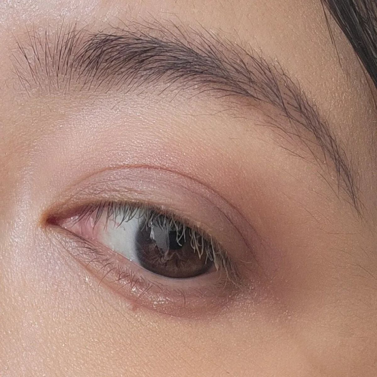 フーミー アイブロウパウダー/WHOMEE/パウダーアイブロウを使ったクチコミ(4枚目)